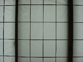 PowerShot S30
