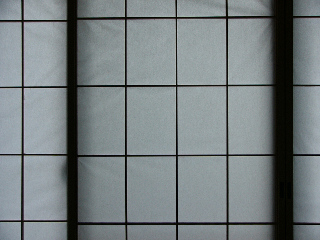 DMC-FZ1␳