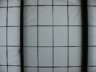 DMC-FZ1