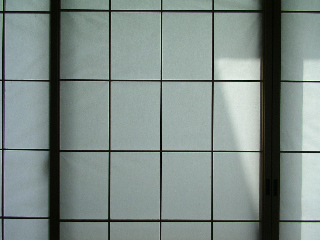 DSC-J1␳