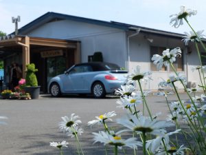 珈琲工房いしかわ本店 石巻市北村字小崎一15-3 静かな高台にある癒やしの空間です。